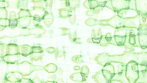 Animated Abstraction Green on a white background Stock Footage 129289636