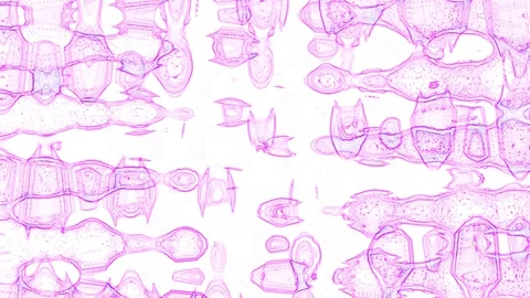 Animated Abstraction Purple on a white background 库存影片 129289826