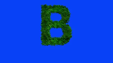 Animated alphabet letters with grass texture and blue screen. Stock Footage 336632436