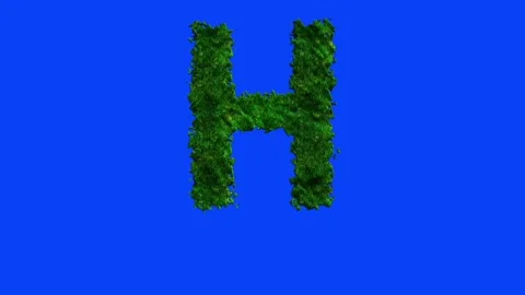 Animated alphabet letters with grass texture and blue screen. 動画素材 336632501