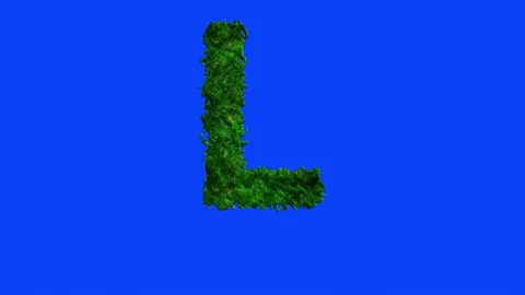Animated alphabet letters with grass texture and blue screen. Stock-Footage 336632583