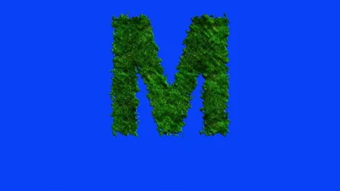 Animated alphabet letters with grass texture and blue screen. Видео 336632623