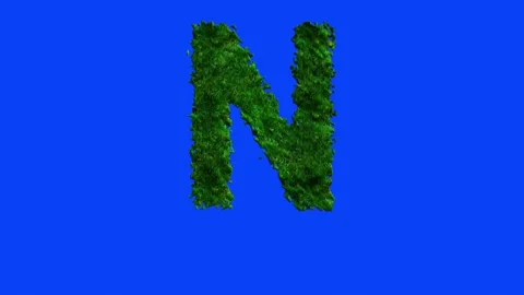 Animated alphabet letters with grass texture and blue screen. 動画素材 336632638