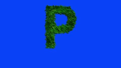 Animated alphabet letters with grass texture and blue screen. Stock Footage 336632653