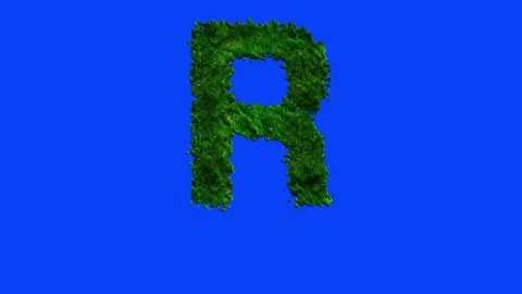 Animated alphabet letters with grass texture and blue screen. 스톡 동영상 336632693