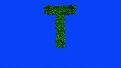 Animated alphabet letters with grass texture and blue screen. Stock-Footage 336632704