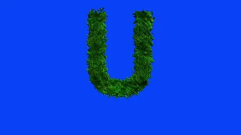 Animated alphabet letters with grass texture and blue screen. Stock Footage 336632723