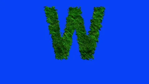 Animated alphabet letters with grass texture and blue screen. 스톡 동영상 336632757