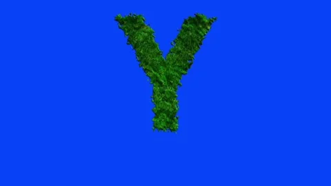 Animated alphabet letters with grass texture and blue screen. Stock Footage 336632761
