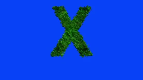 Animated alphabet letters with grass texture and blue screen. 스톡 동영상 336632763