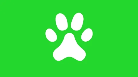 Animated animal paw icon. Chroma key, green screen background Stock Footage