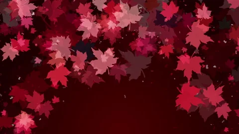 Animated autumn frame with falling red maple leaves on dark background Stock Footage 313565644