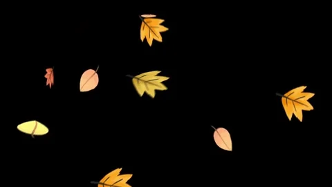 Animated autumn leaves falling down on black background in a graceful motion Stock Footage 329905367