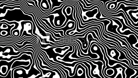 Animated background of black and white abstract wavy lines. 動画素材 316962797