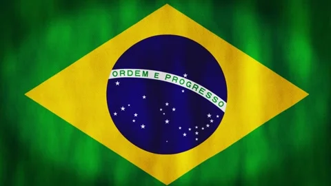 Animated background. Brazil flag in 4k. National flag fluttering in the wind. Stock Footage 306311534