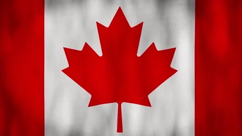 Animated background. Canada flag in 4k. National flag fluttering in the wind. Stock Footage 306311524
