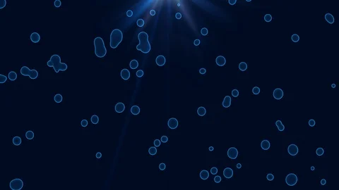 Animated Background of Cells, Liquid, Bubble . Stock Footage 92575943