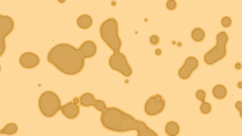 Animated Background of Cells, Liquid, Bubble . Stock Footage 92674358