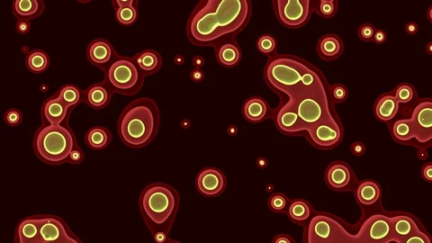 Animated Background of Cells, Liquid, Bubble . Stock Footage 92677775