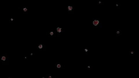 Animated Background of Cells, Liquid, Bubble . Stock Footage 92677781