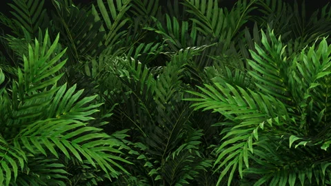 Animated Background covered with plants Stock Footage 220607938