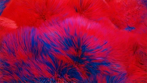 Animated background covered with red and blue wool. looping abstract animation.  Stock Footage 255820738