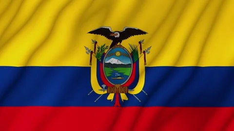 Animated background. Ecuador flag in 4k. National flag fluttering in the wind Stock Footage 306312436