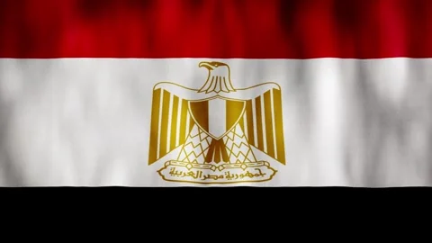 Animated background. Egypt flag in 4k. National flag fluttering in the wind Stock Footage 306312686