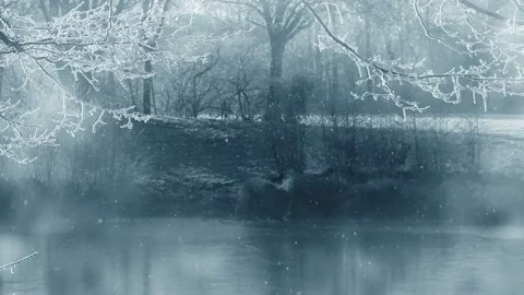 Animated background features a winter scenery with falling snow Stock Footage 160602819