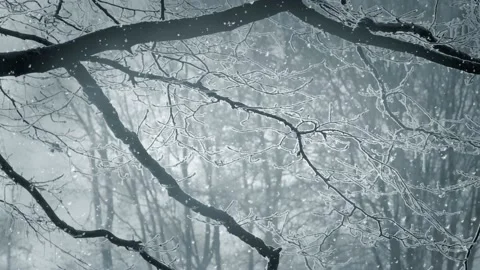 Animated background features a winter scenery with falling snow Stock Footage 160603146