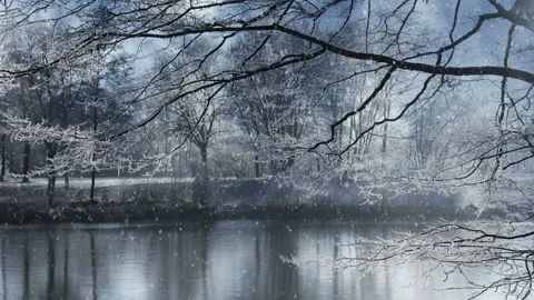 Animated background features a winter scenery with falling snow Stock Footage 160604098