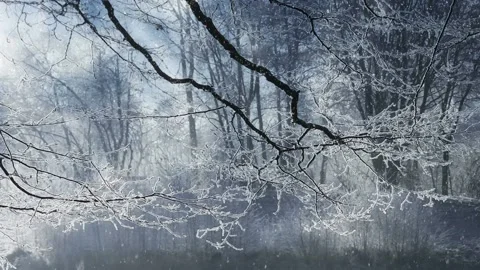 Animated background features a winter scenery with falling snow Stock Footage 160604871