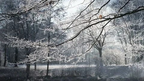 Animated background features a winter scenery with falling snow Stock-Footage 160605578