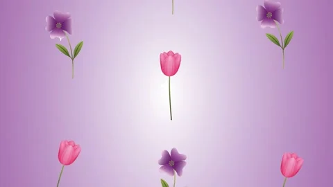 Animated background with floating purple flowers and pink tulips on a soft .. Stock Footage 339086317