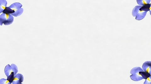 Animated Background Flowers Stock Footage 33928350