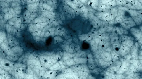 Animated background made of various abstract fractals Vidéo 141003004