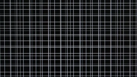 Animated background or backdrop of white grid lines on black background, suitabl Stock Footage 315012839