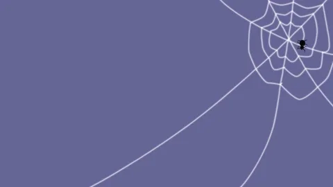 Animated Background Spider Net Web weaving White Halloween Stock Footage 205134875