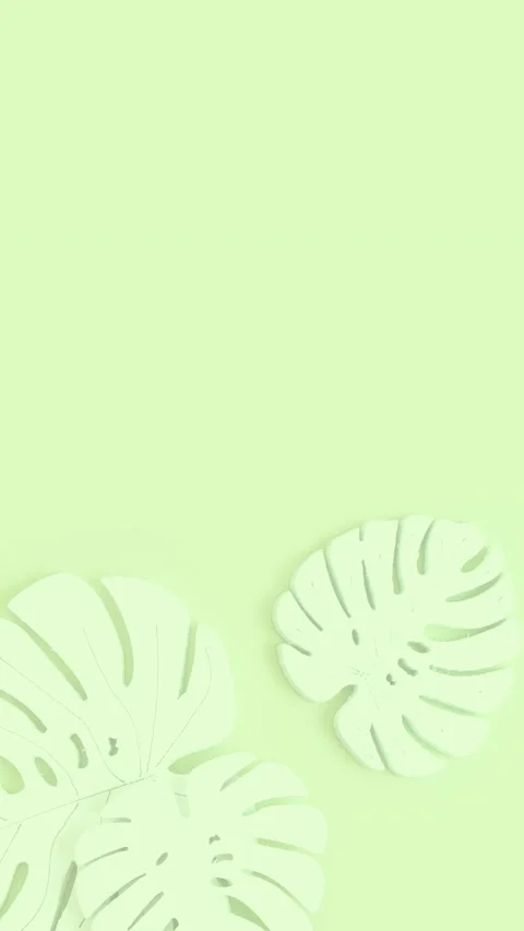 Animated background with stylized monstera leaves on  green background Stock Footage 239530537