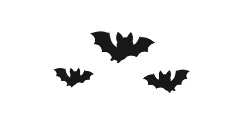 Animated Bats Flying - Black Silhouette Wildlife Motion Graphics Stock Footage 342032173