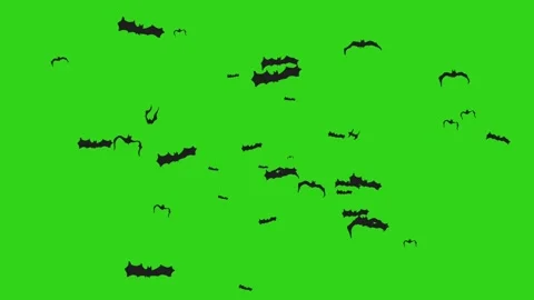 Animated bats on green screen, animation... | Stock Video | Pond5