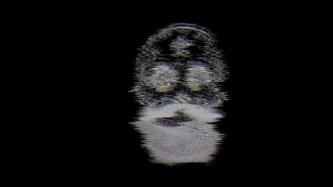 Animated bearded skull decorated with sugar skull patterns, stars in eyes, .. 스톡 동영상 329956480