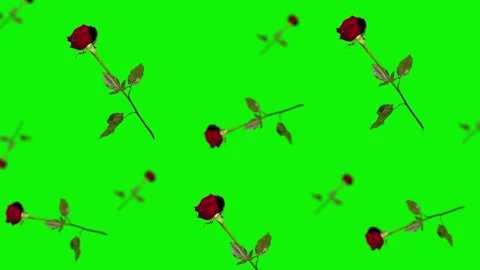Animated beautiful red rose with stem and leaves flying and wiggle Stock Footage 168619348