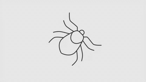 Animated bed bug icon Stock Footage 277185164