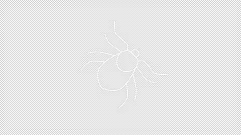 Animated bed bug white icon Stock Footage 277560613