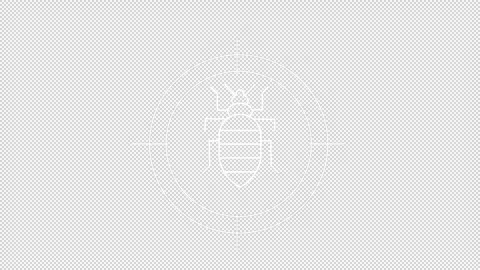 Animated bedbug white icon Stock Footage 277560618