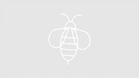 Animated bee white icon Stock Footage 288318690