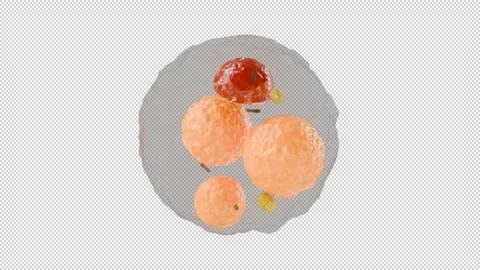 Animated beige fat cell rotation on a transparent background Stock Footage 313111825