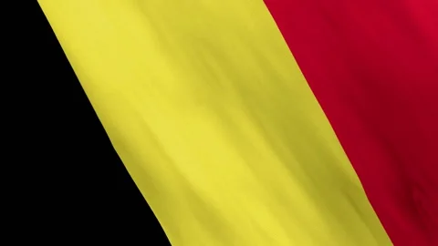 Animated Belgium Flag Waving in the Wind Stock Footage 168414125