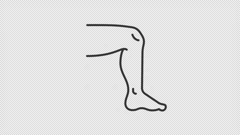 Animated bending human leg outline icon Stock Footage 345262519
